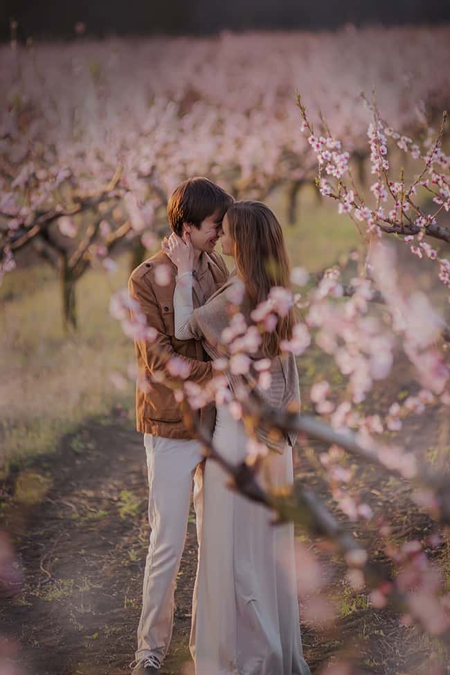 Couple embrassant dans un champ de cerises.